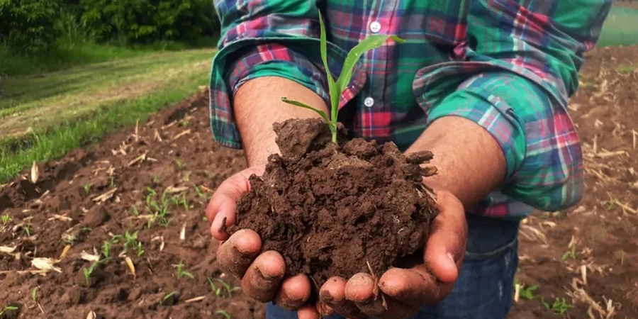 Illustrative image of Residual soil characterization in Brisbane